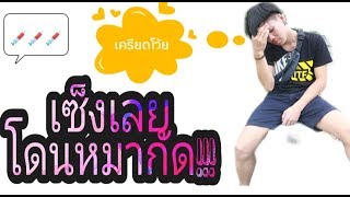 โดนหมากัด!!!ครั้งแรก  เครียดโว้ยยยย