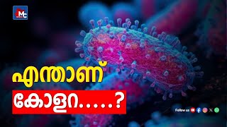 കോളറയെ എങ്ങനെ പ്രതിരോധിക്കാം | How to prevent cholera | MC News | MC Radio