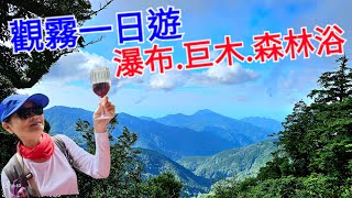 觀霧賞鳥\u0026瀑布步道小O走+檜山巨木群步道全紀錄｜太美了，希望下次能待久一點~|忘憂紅酒登山社_1080p