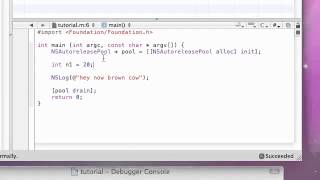 Objective C Programming Tutorial 3 Variables YouTube