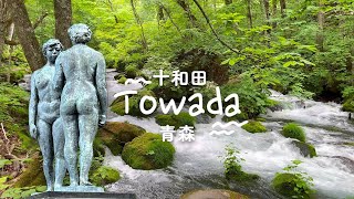 Epic Aomori Views:  Oirase Stream & Lake Towada  | Shizukuishi Prince Hotel Tour with NicoleXs