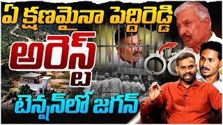 ఏ క్షణమైనా పెద్దిరెడ్డి అరెస్ట్.. | Analyst Ashok Kumar Sensational Comments On Peddireddy | AP News