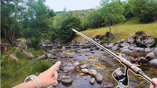 JE PÊCHE DE NOMBREUSES TRUITES DANS CE PETIT TORRENT DES PYRÉNÉES !