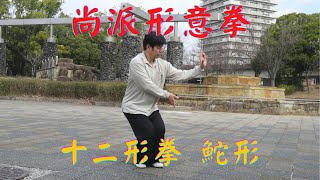 【Shangpai Xingyiquan】Shierxingquan Animal Shapes Tuoxing Shangpai Xingyiquan