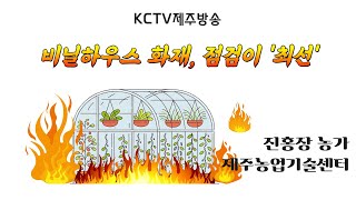 20240129 KCTV영농정보 비닐하우스 화재, 점검이 '최선'