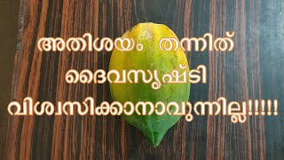 അതിശയം തന്നെ ദൈവസൃഷ്ടിവിശ്വസിക്കാനാവുന്നില്ല .......!!!! | Creation of God Unbelievable .......!!!!