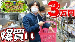 【クワカブの知識ゼロ】カメラマンに昆虫ショップで3万円分お買い物をお願いしてみた結果…