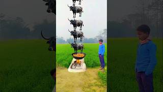 इतना सारा भैंस