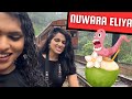 NUWARA ELIYA VLOG| தமிழ் VLOG