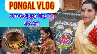 🌟எங்க வீட்டு பொங்கல் \u0026மாட்டு பொங்கல் வழிபாடு #pongalcelebrationvlog#எல்லாம்சாய்செயல்