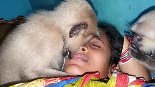 Cute Mangal loves his human mother and brother.