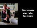 How to make tulips last longer