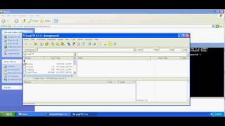 FuZZ FTP Program