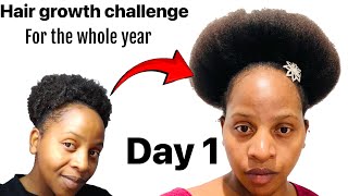 Day 1 /334 Hair growth challenge. Let’s get to waist length ! Herbal tea, Spray, MSM, oils.