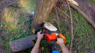 Stihl 025 Felling 2 Small Trees