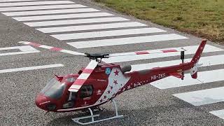 AS350 Air-Zermatt Roban size 600.