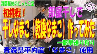 やってみたシリーズ/料理編　初挑戦！部屋干しで「干しなまこ（乾燥なまこ）」作ってみた