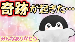 【ファン大歓喜!!】コウペンちゃんに皆んなの想いが届いたよ…！【感動のお知らせ】るるてあ/こうぺんちゃん/正能量企鵝