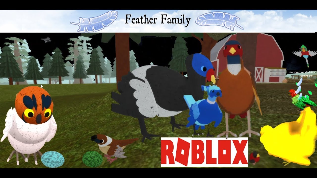 Roblox Feather Family Youtube