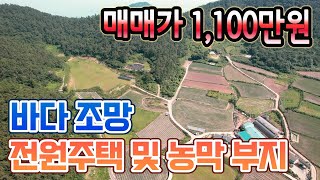 전남토지매매 #1658 진도군 임회면 바다 조망 203평 전원주택 및 농막 부지 매매가 1,100만원