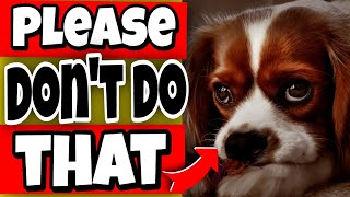 15 Things Dogs Hate About Humans 😨 Don't Do This!