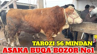 ASAKA MOL BOZORI KOTTA KICHIK BUQA NARXLAEI TAROZIGA 58.MINDAN BARAKALAR 13.02.2025