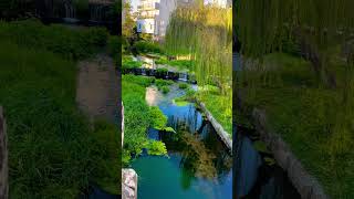 Warm water is running through this river and it was used for centuries as thermal Spa water