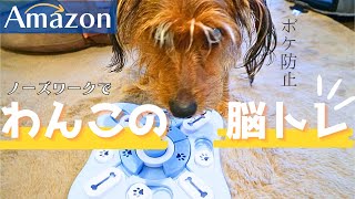 【犬の脳トレ】愛犬に新しいノーズワークのおもちゃ買ってあげたら超真剣になってた【Amazon購入品】