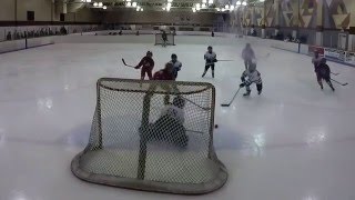 Will Annexstad 8U Mite Red Hockey Highlights 2015-2016