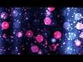 circular purple u0026 pink particles moving 4k relaxing screensaver