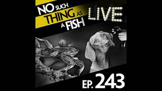 243: No Such Thing As Jean-Paul Sartre's Crabs