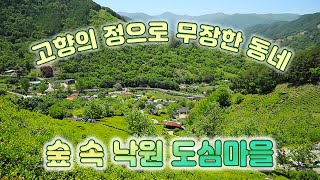 우문현답 | 223화. 경남 하동군 화개면 도심마을 - 어차피 몸속에 들어갈 녹차 식혀서 후루룩 마시면 안 됩니까? | 2020.06.03 (수)