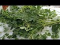 Quick And Easy Method To Clean Moringa Leaves #Shorts