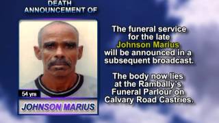 Johnson Marius short