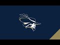 men s basketball highlights vs. spartanburg methodist college 11 5 24