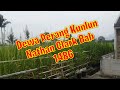 Dewa Perang Kunlun Nathan Clark Bab 1485-1486