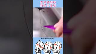 【都是冷知識】#在家 輕鬆做的#科學小實驗 #冷知識 #漲知識 #冷知识