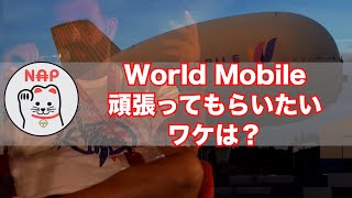 カルダノADA ｜World Mobile 頑張ってもらいたいワケは？