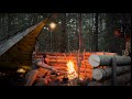 SOLO WILD CAMPING- tarp shelter, shelter wall/fire reflector, cast iron cooking