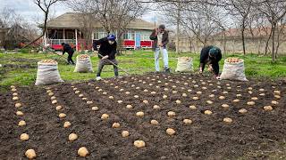 Grandma’s Farm Life Routine! Planting Potatoes & Cooking the Most Delicious Orange Duck