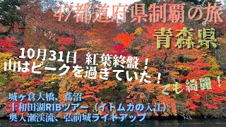 【47都道府県制覇の旅】青森県　10月31日の紅葉　城ヶ倉大橋、蔦沼、十和田湖RIBツアー（イトムカの入江）奥入瀬渓流、弘前城ライトアップ