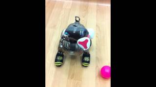 Aibo ERS7 ball trick