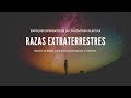 RAZAS EXTRATERRESTRES - Ivan Donalson