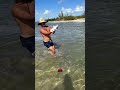 this guy caught a shark with his bare hands