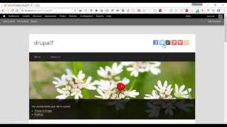 Drupal 7 hide fields in backend with hooks and Fields Collection