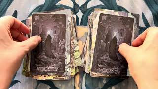 Exile Tarot: Silent \u0026 Awaken — flip through