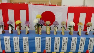 『第３６回 日本菊花全国大会』国華園（２０１９年１１月６日）動画