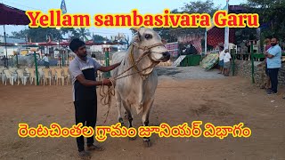 రెంటచింతల గ్రామం జూనియర్ విభాగం yellam Sampoorna Garu