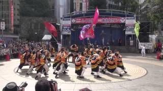 東京よさこい　池袋笑来会＠2014　東京よさこい