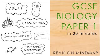 All of BIOLOGY PAPER 1 in 20 mins - GCSE Science Revision Mindmap 9-1 AQA